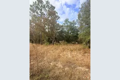 0 Unassigned, Interlachen, FL 32148 - Photo 5