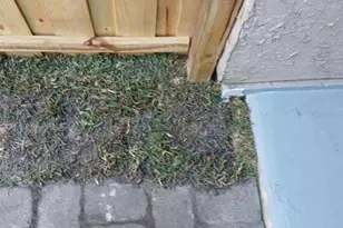 3907 Coronation Ct, Orlando, FL 32839 - Photo 11