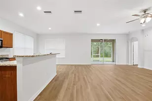 7729 Grasmere Dr, Land O Lakes, FL 34637 - Photo 5