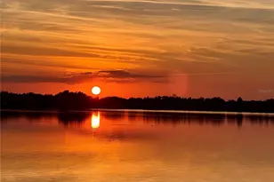 529 Blue Cypress Dr, Groveland, FL 34736 - Photo 49