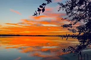 529 Blue Cypress Dr, Groveland, FL 34736 - Photo 45