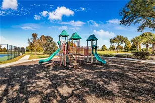 529 Blue Cypress Dr, Groveland, FL 34736 - Photo 37