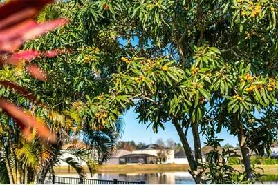 1015 Seneca Falls Drive, Orlando, FL 32828 - Photo 33