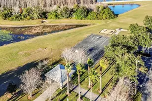 19402 Sweet Grass Way, Lutz, FL 33558 - Photo 43