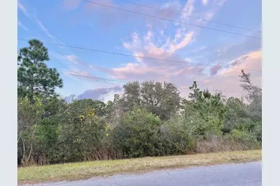 00 Robertson Street, Orlando, FL 32833 - Photo 3