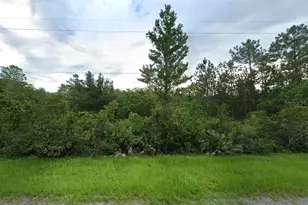 0 Coronet Ave, Orlando, FL 32833 - Photo 1