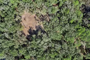 1001 Lake Harney Rd, Geneva, FL 32732 - Photo 33