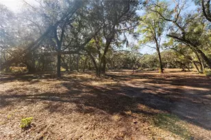 1001 Lake Harney Rd, Geneva, FL 32732 - Photo 11