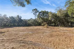 1001 Lake Harney Rd, Geneva, FL 32732 - Photo 1