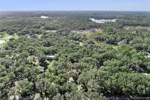 1001 Lake Harney Rd, Geneva, FL 32732 - Photo 31