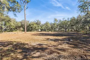 1001 Lake Harney Rd, Geneva, FL 32732 - Photo 3