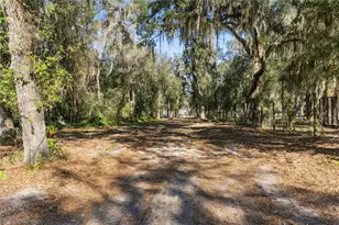 1001 Lake Harney Rd, Geneva, FL 32732 - Photo 21
