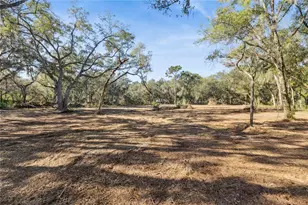 1001 Lake Harney Rd, Geneva, FL 32732 - Photo 9