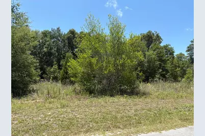 6642 N Flower Terrace, Hernando, FL 34442 - Photo 1