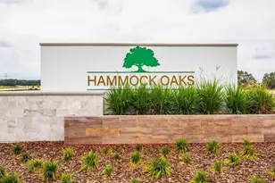 898 Buckeye Dr, Lady Lake, FL 32159 - Photo 33