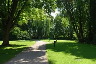 898 Buckeye Dr, Lady Lake, FL 32159 - Photo 27