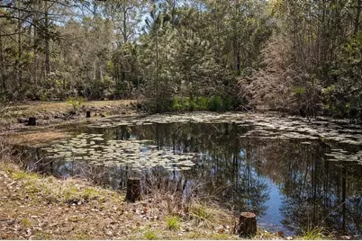 445 S State Road 415, Osteen, FL 32764 - Photo 23