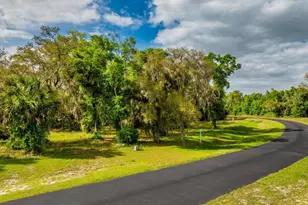 3118 Bright Lake Cir, Groveland, FL 34736 - Photo 1