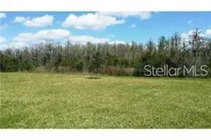 3125 Queen Alexandria Dr, Kissimmee, FL 34744 - Photo 3