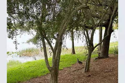 5049 Shoreway Loop #10301, Orlando, FL 32819 - Photo 57