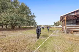 9102 Cr 747, Webster, FL 33597 - Photo 9