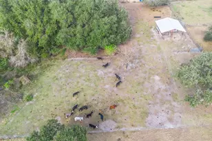 9102 Cr 747, Webster, FL 33597 - Photo 39