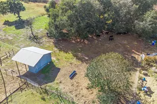 9102 Cr 747, Webster, FL 33597 - Photo 41