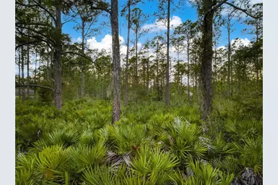 5817 Wolf Lake Road, Sebring, FL 33875 - Photo 11