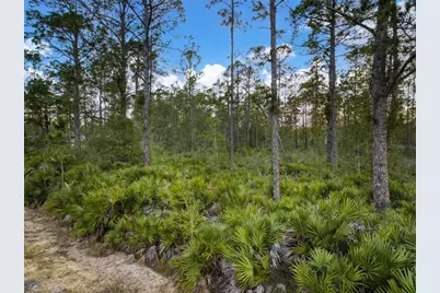 5817 Wolf Lake Road, Sebring, FL 33875 - Photo 9