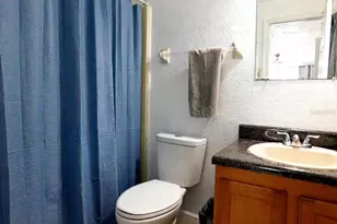 4336 Hector Ct, Orlando, FL 32822 - Photo 13