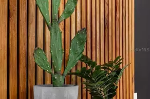 1916 Garvin St, Orlando, FL 32803 - Photo 21