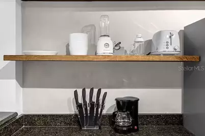 1916 Garvin Street, Orlando, FL 32803 - Photo 19