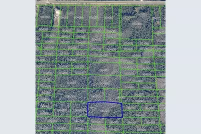 Dill Road, Christmas, FL 32709 - Photo 1