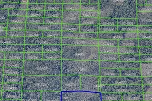 Dill Rd, Christmas, FL 32709 - Photo 1