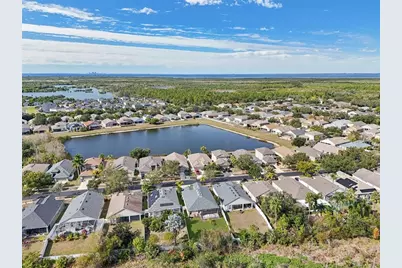 5229 Clover Mist Drive, Apollo Beach, FL 33572 - Photo 41