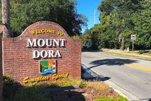 30911 Vista View, Mount Dora, FL 32757 - Photo 49