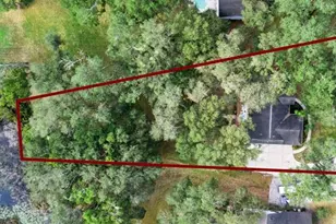 30911 Vista View, Mount Dora, FL 32757 - Photo 41