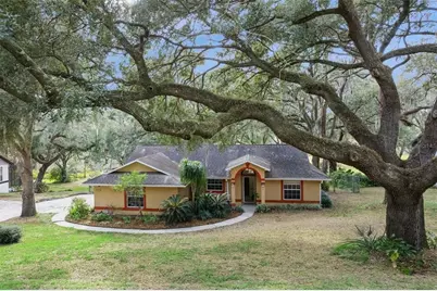 30911 Vista View, Mount Dora, FL 32757 - Photo 9