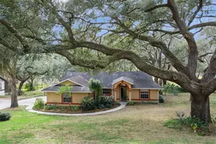 30911 Vista View, Mount Dora, FL 32757 - Photo 9