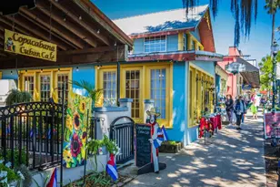 30911 Vista View, Mount Dora, FL 32757 - Photo 49