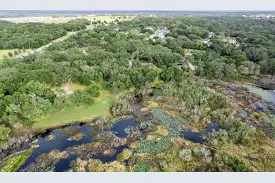 30911 Vista View, Mount Dora, FL 32757 - Photo 43