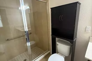 8205 Serenity Spring Dr, Windermere, FL 34786 - Photo 23