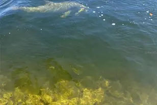 4808 Shell Stream Blvd, New Port Richey, FL 34652 - Photo 11