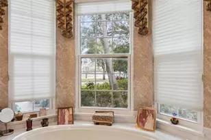 8742 Southern Breeze Dr, Orlando, FL 32836 - Photo 45