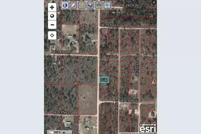 Ne 150th Avenue, Williston, FL 32696 - Photo 9