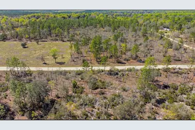 Ne 150th Avenue, Williston, FL 32696 - Photo 5