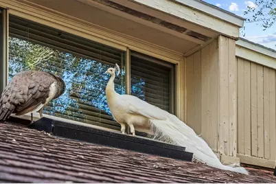 114 Juniper Lane, Longwood, FL 32779 - Photo 63