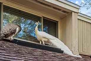 114 Juniper Ln, Longwood, FL 32779 - Photo 63