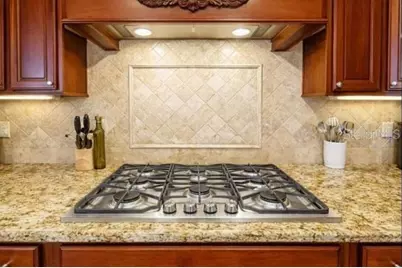 12012 Rambling Oak Boulevard, Orlando, FL 32832 - Photo 9
