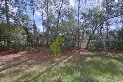 2820 W Andromedae Drive, Citrus Springs, FL 34433 - Photo 23